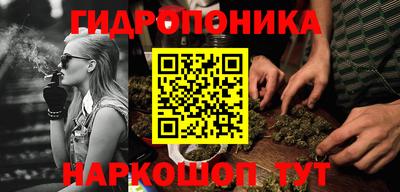 гидра Ачхой-Мартан